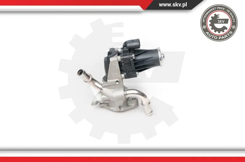 EGR Valve (14SKV101)