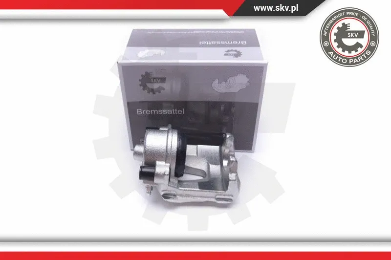 Brake Caliper (55SKV861)