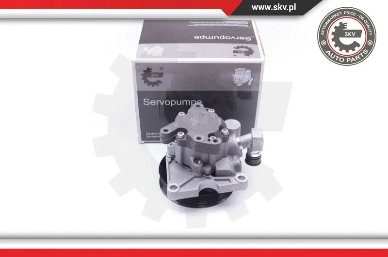 Hydraulic Pump, steering (10SKV273)