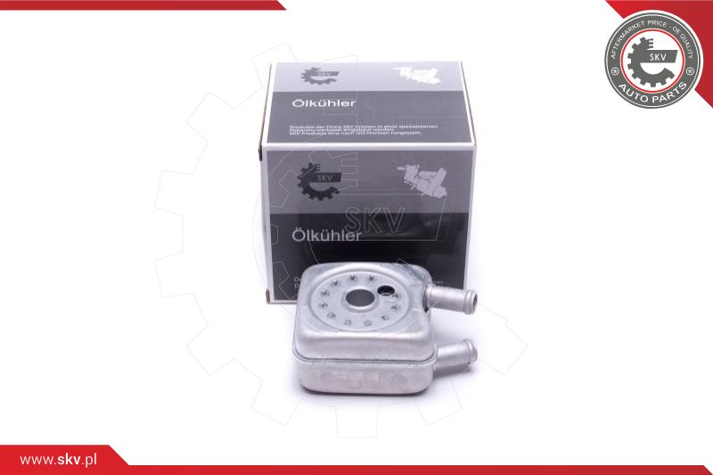 Oil Cooler, engine oil (31SKV203)