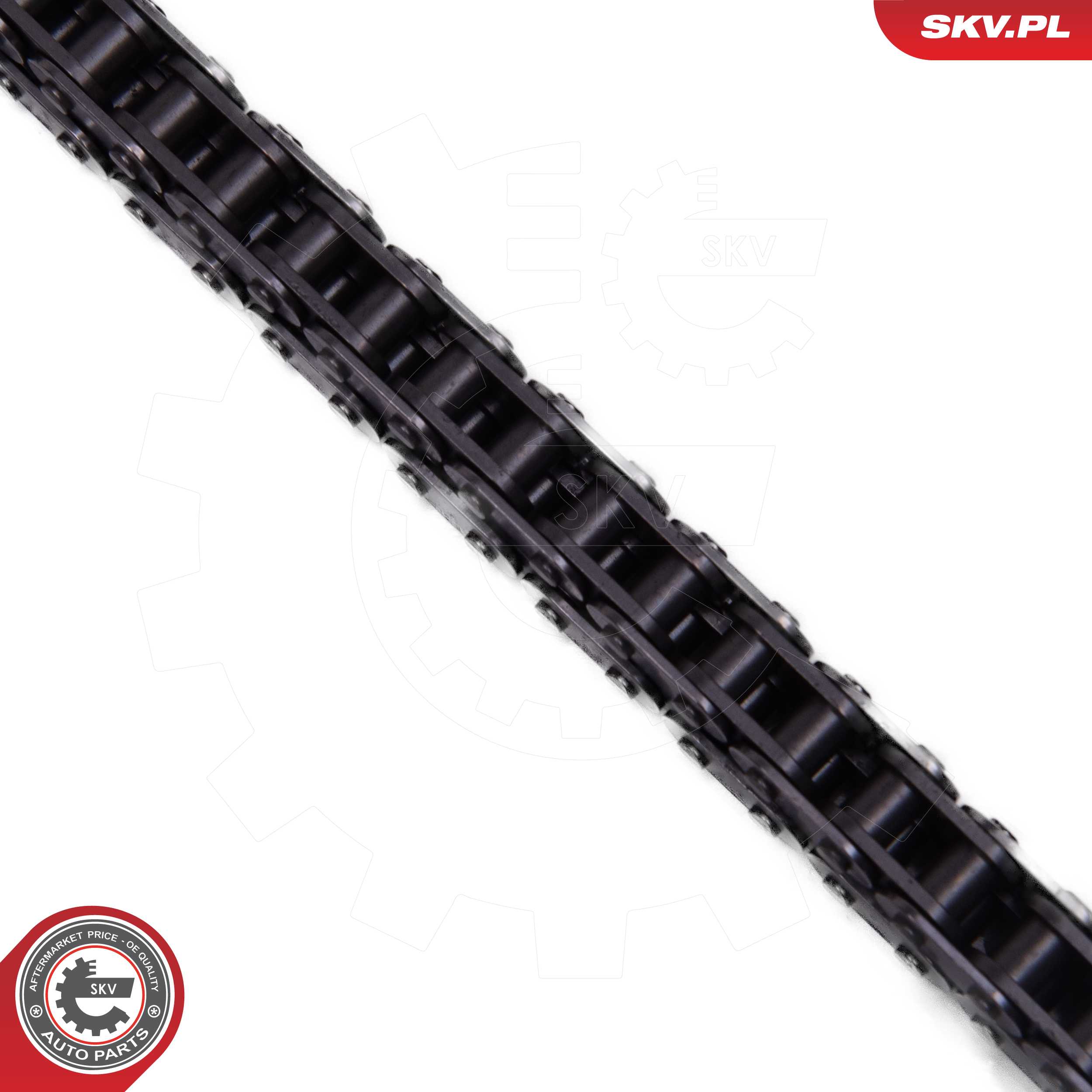 Timing Chain Kit