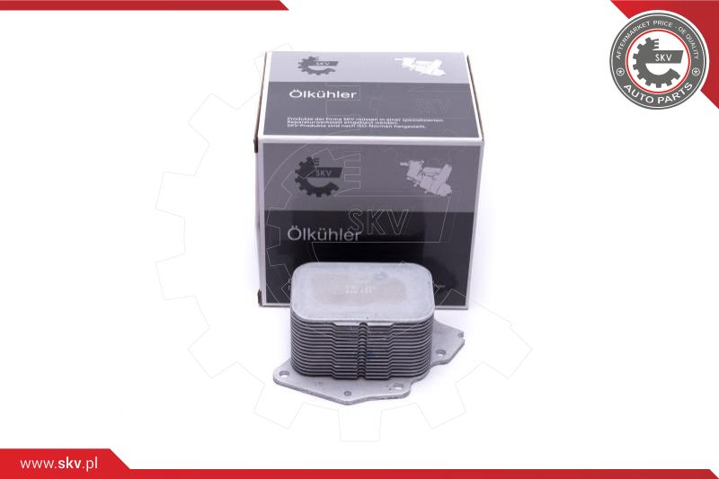 Oil Cooler, engine oil (31SKV230)
