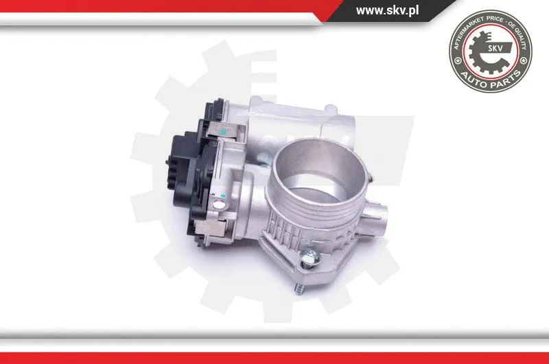 Throttle Body