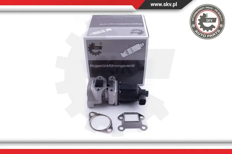 EGR Valve (14SKV236)