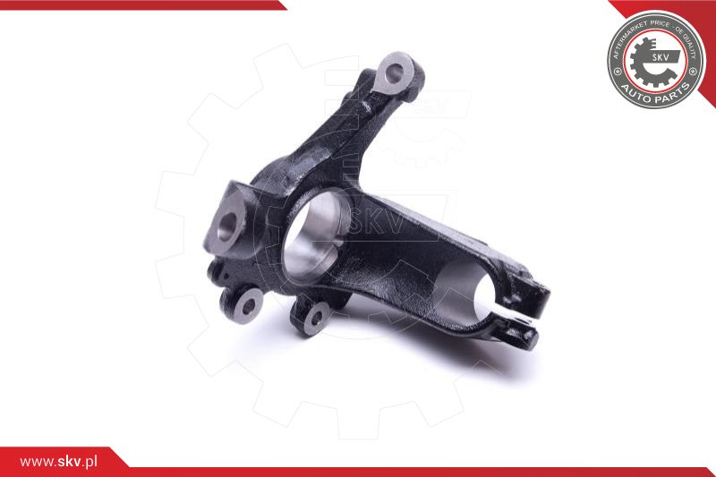 Steering Knuckle, wheel suspension
