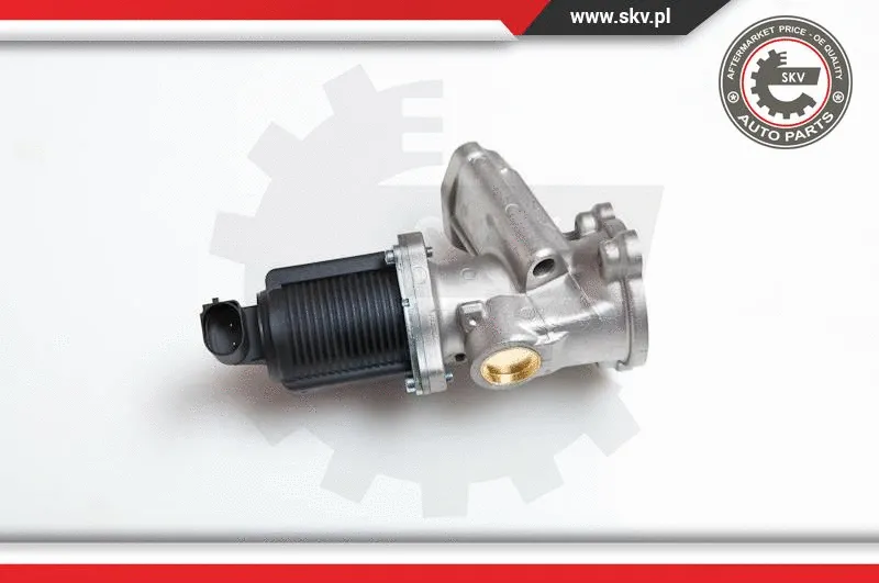 EGR Valve