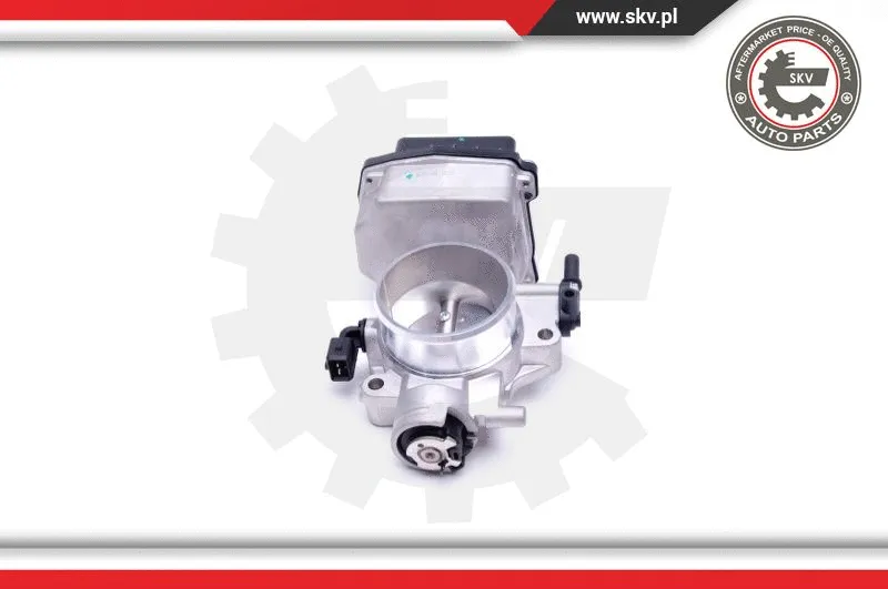 Throttle Body