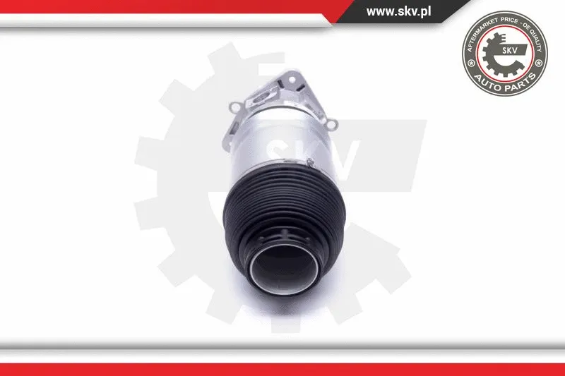 Air Suspension Strut