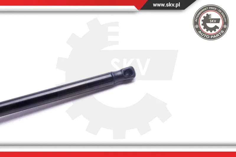 Gas Spring, boot/cargo area