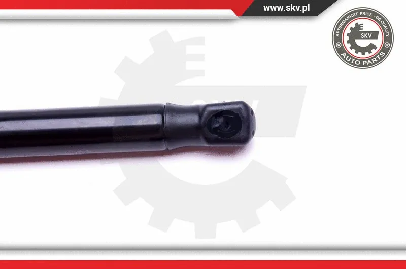 Gas Spring, boot/cargo area