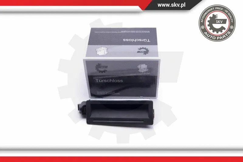 Tailgate Handle (16SKV251)