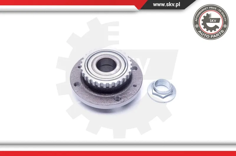 Wheel Bearing Kit