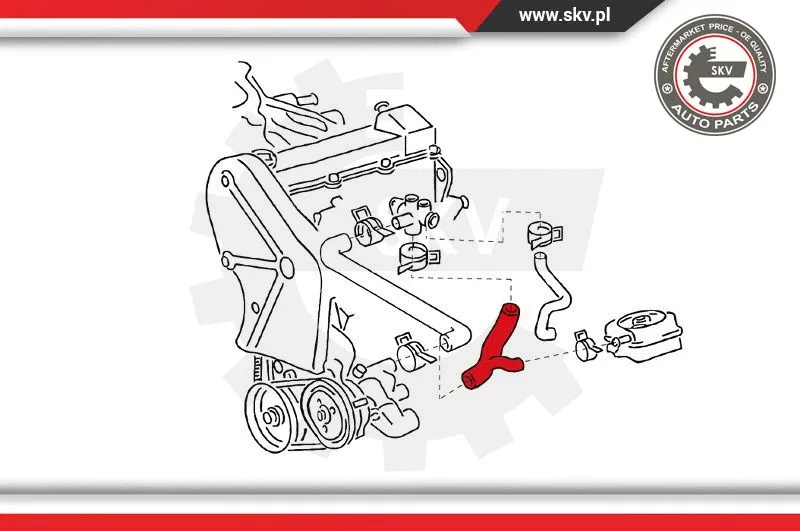 Radiator Hose (24SKV326)