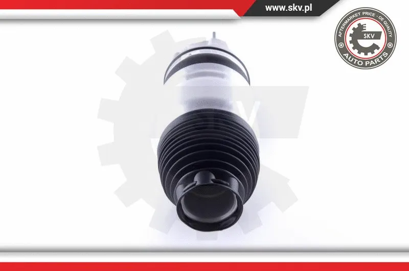 Air Spring, suspension