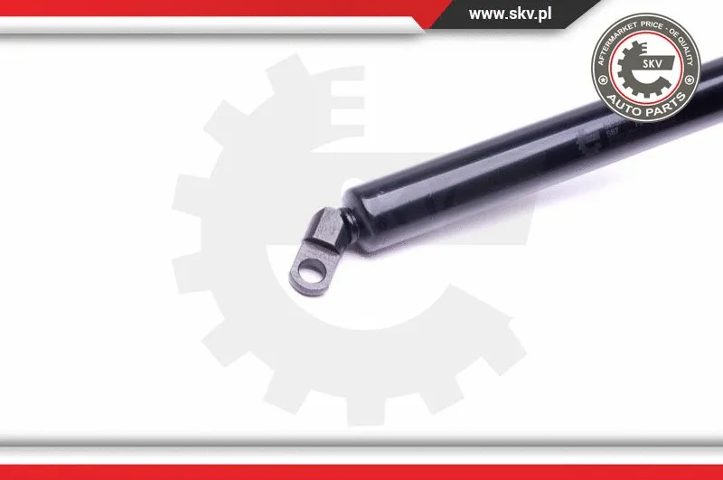 Gas Spring, boot/cargo area