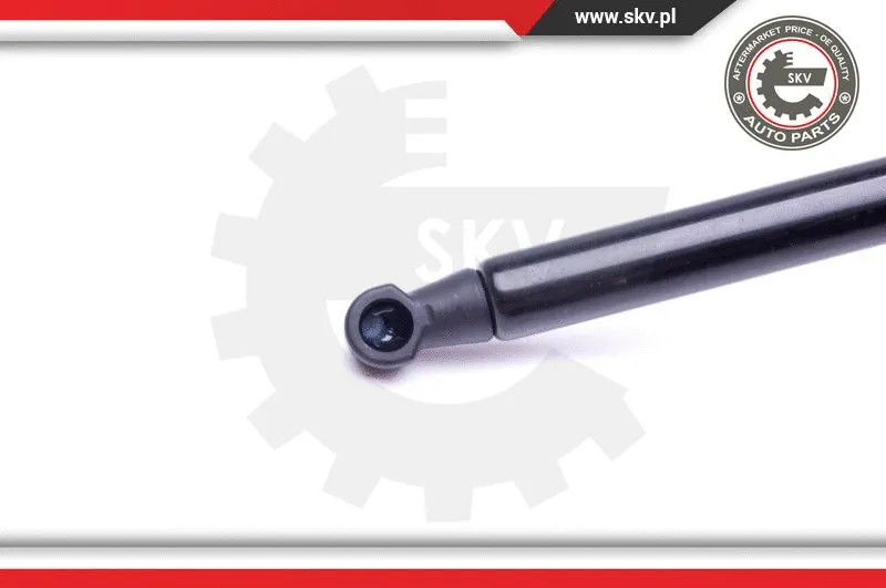 Gas Spring, boot/cargo area