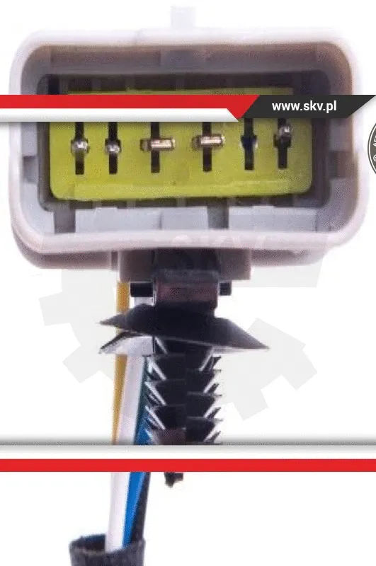 EGR Valve