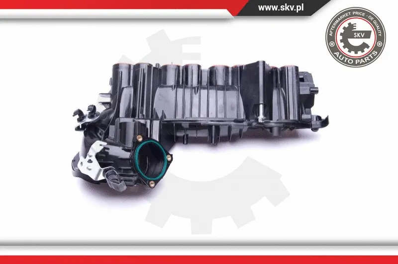 Intake Manifold Module