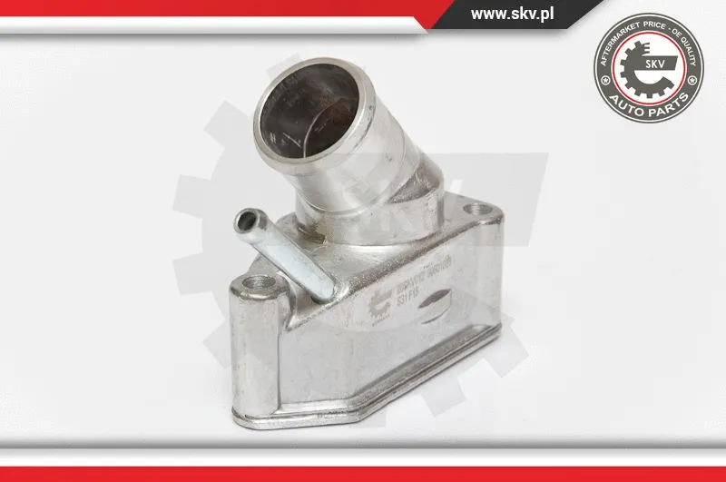 Thermostat, coolant
