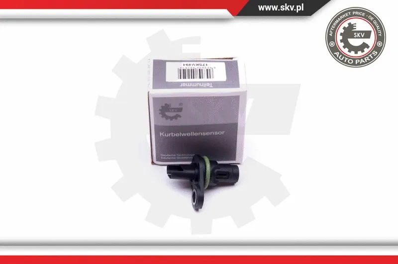 Sensor, camshaft position (17SKV494)
