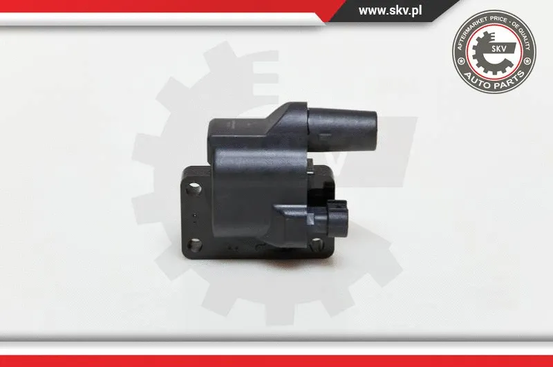 Ignition Coil (03SKV090)