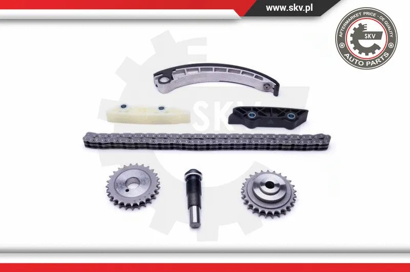 Timing Chain Kit
