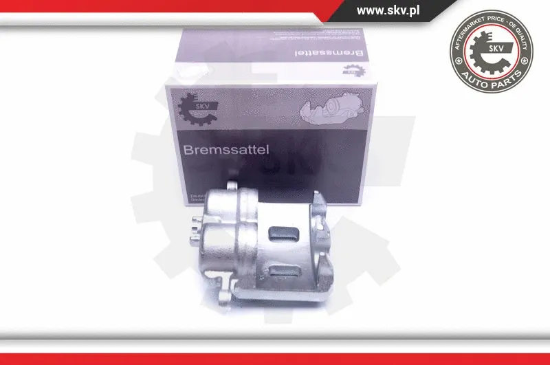 Brake Caliper (42SKV981)