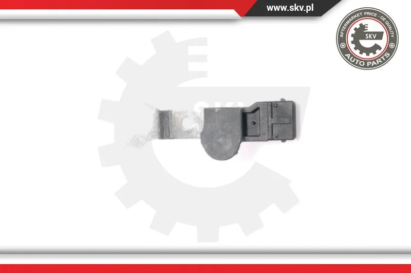 Sensor, camshaft position (17SKV218)