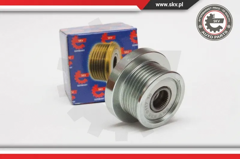 Alternator Freewheel Clutch (11SKV049)