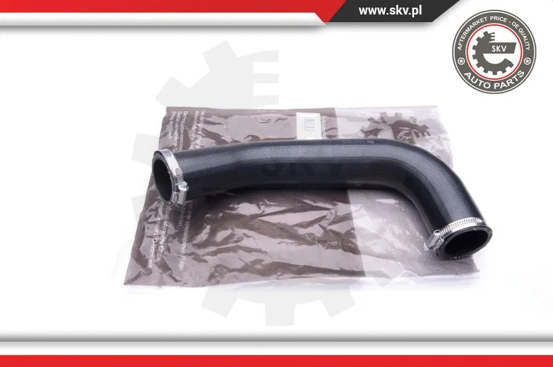 Charge Air Hose (24SKV838)