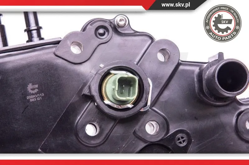 Thermostat, coolant