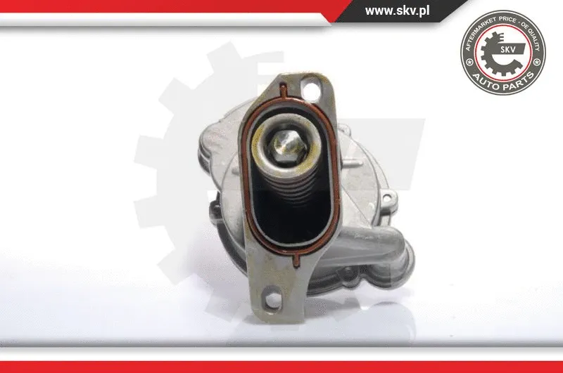Vacuum Pump, braking system (18SKV005)