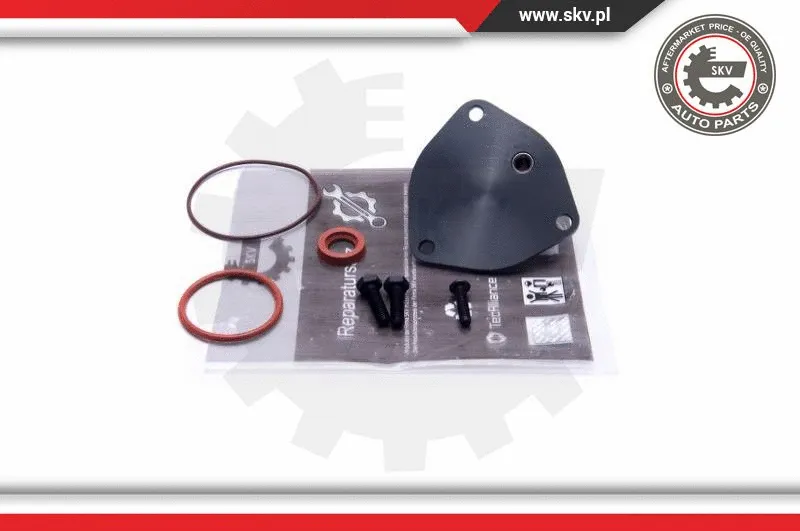 Repair Set, vacuum pump (braking system) (18SKV806)