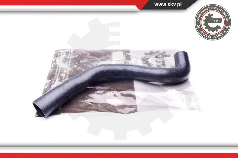 Charge Air Hose (43SKV069)