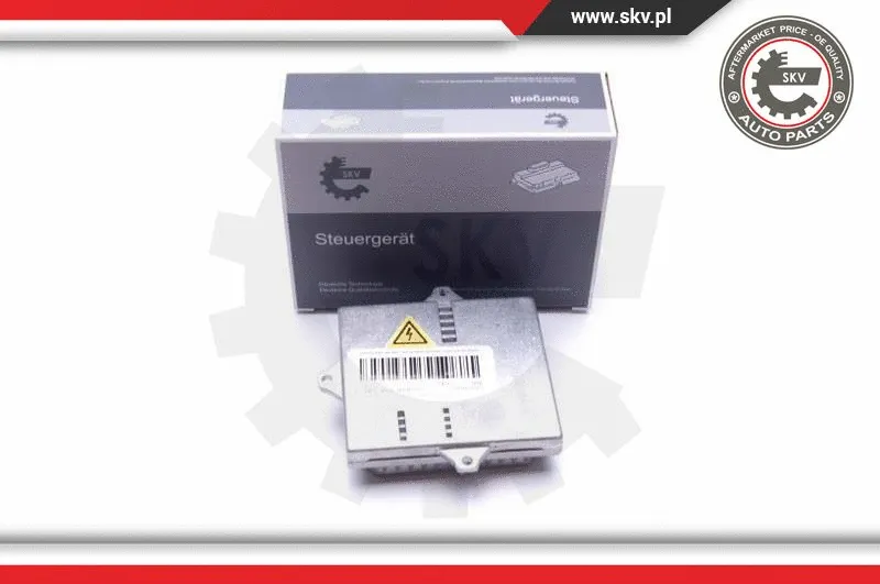 Control Unit, lights (59SKV025)