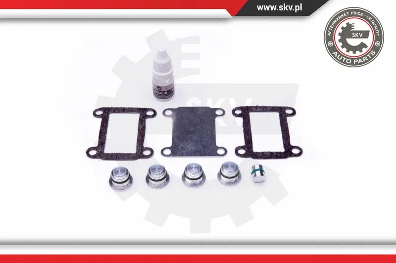 Repair Kit, intake manifold module