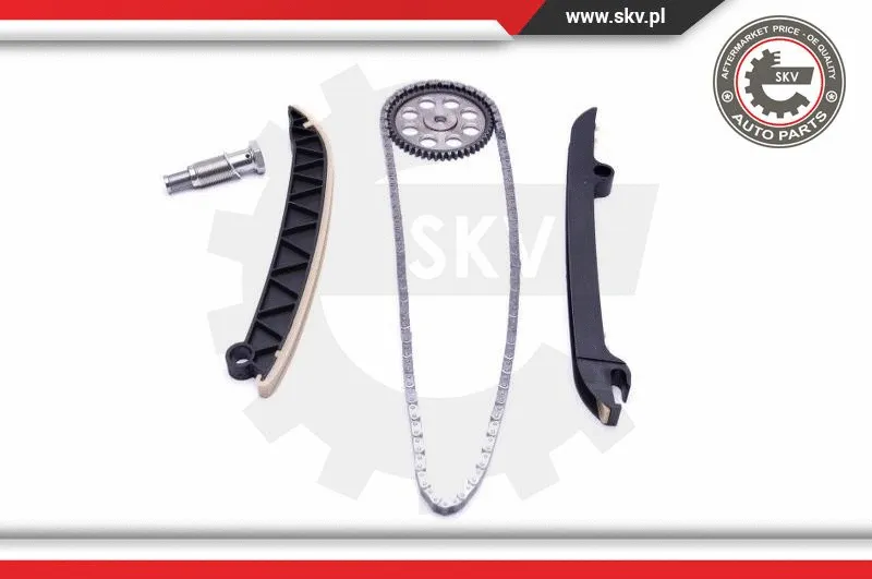 Timing Chain Kit