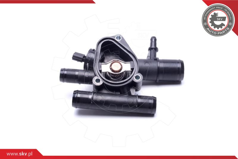 Thermostat, coolant