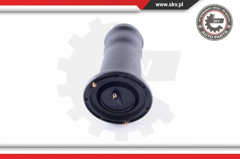 Air Spring, suspension