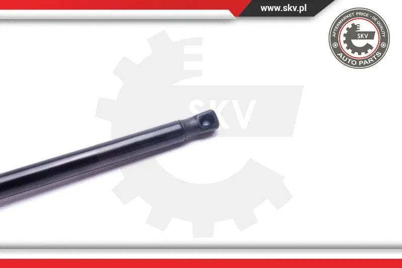 Gas Spring, bonnet