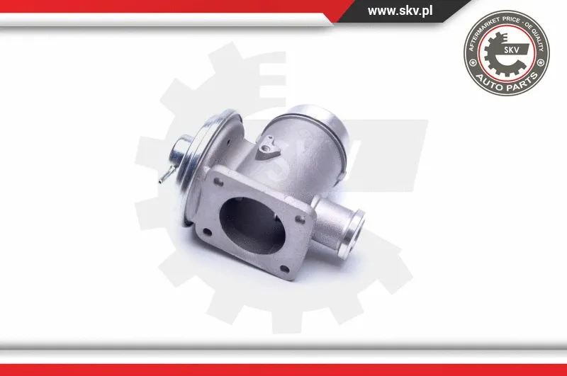EGR Valve