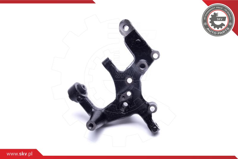 Steering Knuckle, wheel suspension