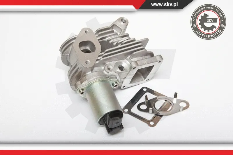 EGR Valve (14SKV036)