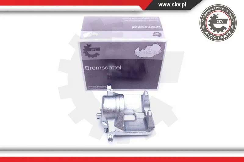 Brake Caliper (42SKV691)