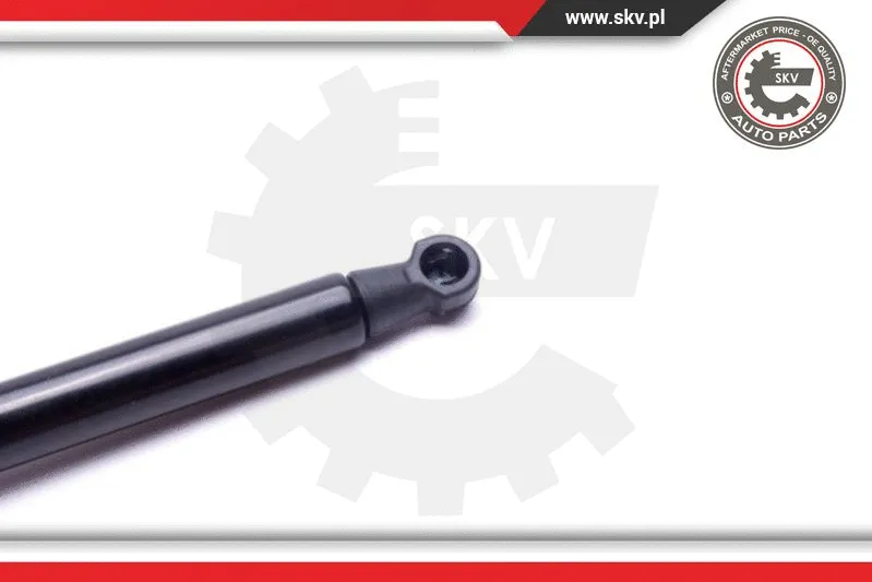 Gas Spring, bonnet