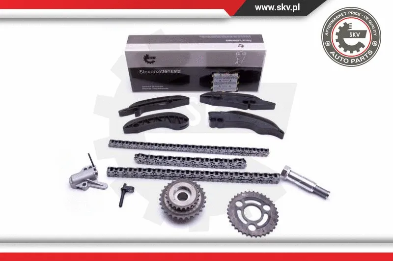 Timing Chain Kit (21SKV174)