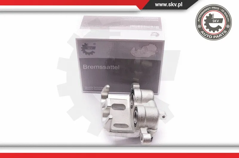 Brake Caliper (23SKV451)