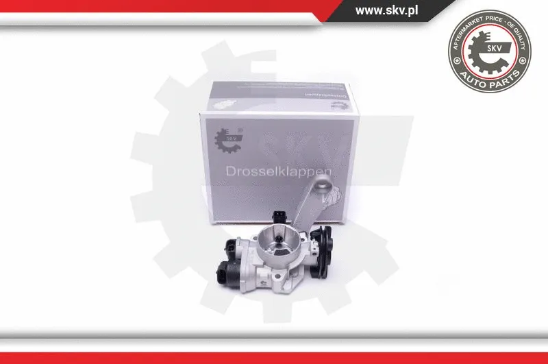 Throttle Body (12SKV082)