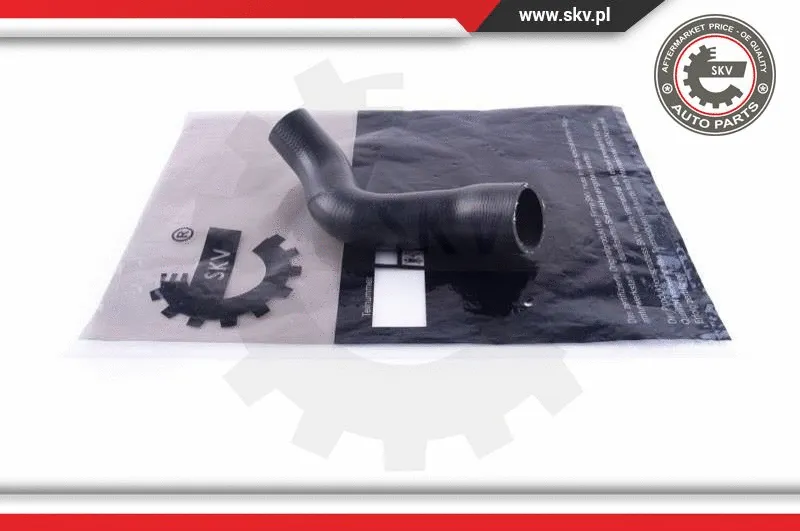 Charge Air Hose (43SKV302)