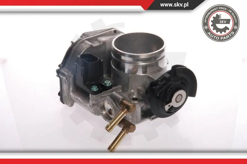 Throttle Body (12SKV021)